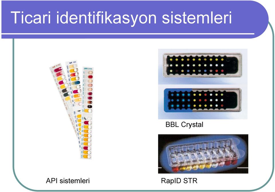 sistemleri BBL