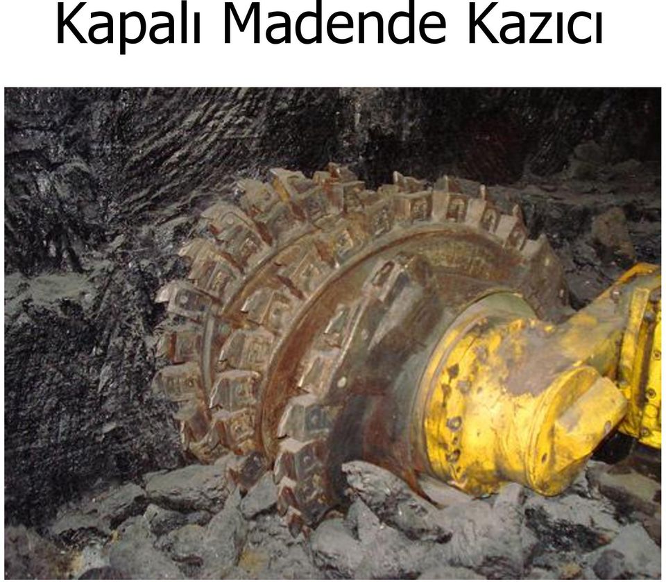 Kazıcı