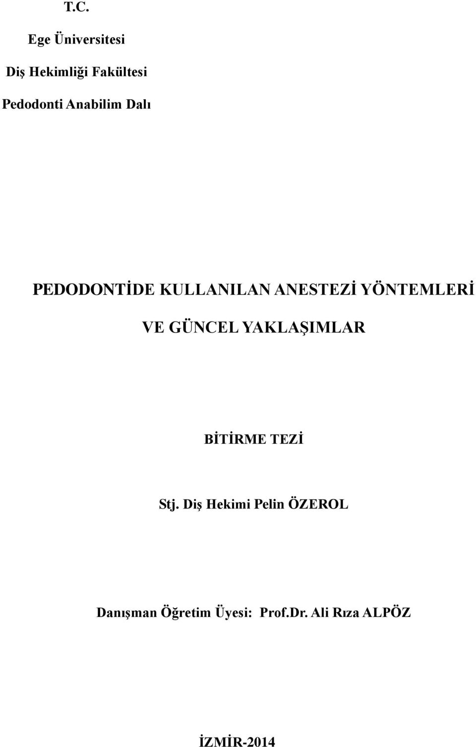 VE GÜNCEL YAKLAŞIMLAR BİTİRME TEZİ Stj.