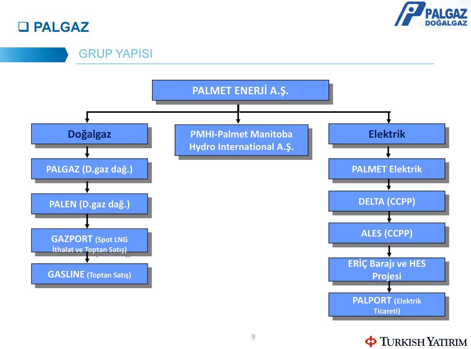 Elektrik PALMET Elektrik PALEN (D.gaz dağ.