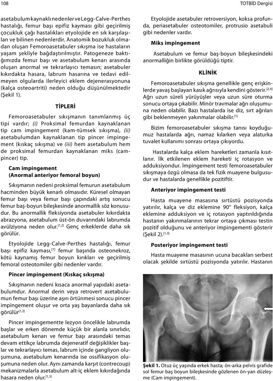 Patogeneze baktığımızda femur başı ve asetabulum kenarı arasında oluşan anormal ve tekrarlayıcı temasın; asetabuler kıkırdakta hasara, labrum hasarına ve tedavi edilmeyen olgularda ilerleyici eklem