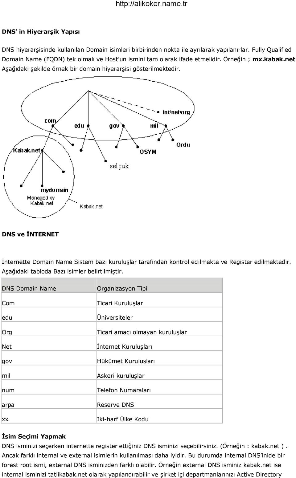 DNS ve İNTERNET İnternette Domain Name Sistem bazı kuruluşlar tarafından kontrol edilmekte ve Register edilmektedir. Aşağıdaki tabloda Bazı isimler belirtilmiştir.