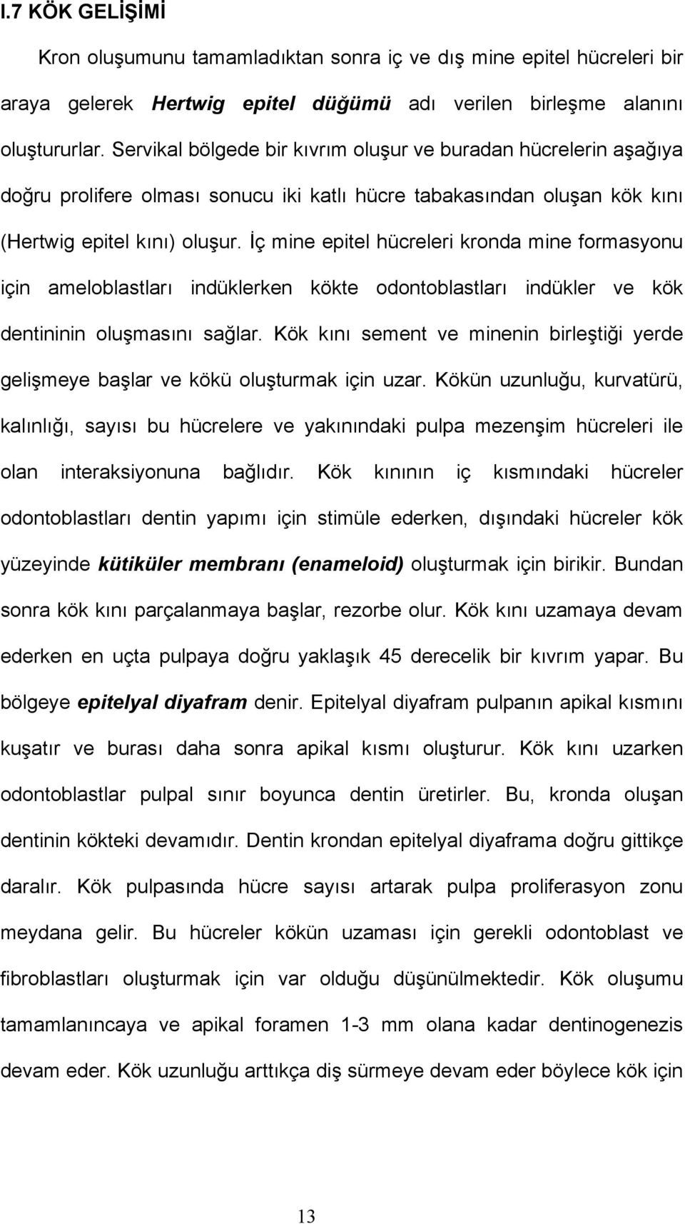 İç mine epitel hücreleri kronda mine formasyonu için ameloblastları indüklerken kökte odontoblastları indükler ve kök dentininin oluşmasını sağlar.