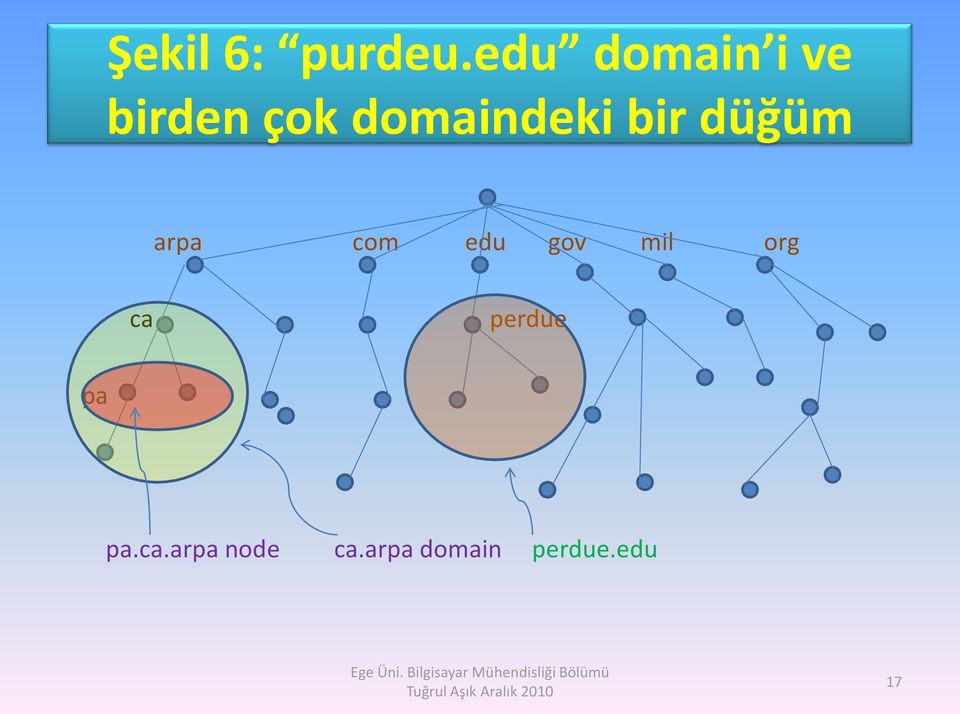 domaindeki bir düğüm arpa com edu