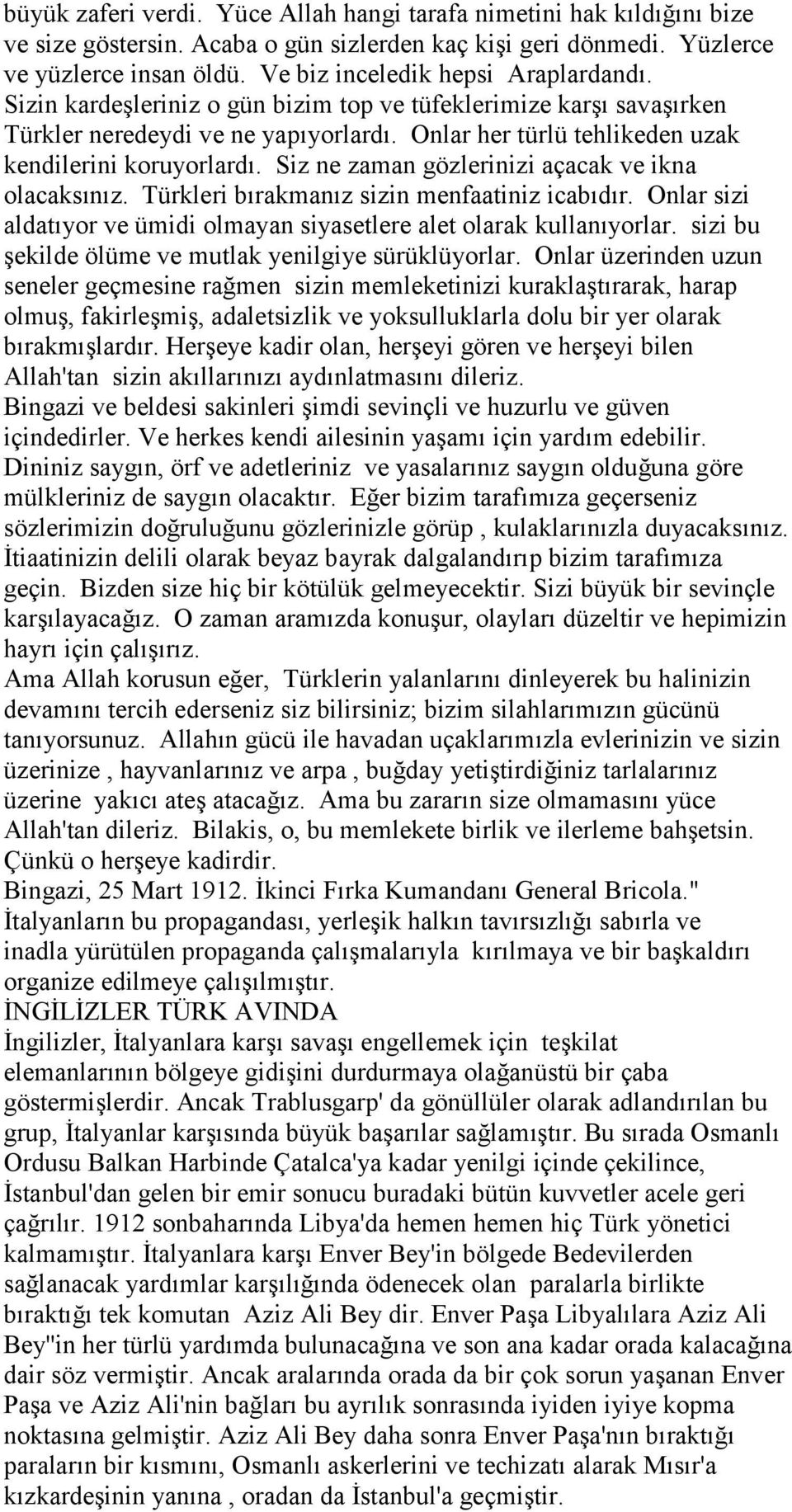 Onlar her türlü tehlikeden uzak kendilerini koruyorlardı. Siz ne zaman gözlerinizi açacak ve ikna olacaksınız. Türkleri bırakmanız sizin menfaatiniz icabıdır.