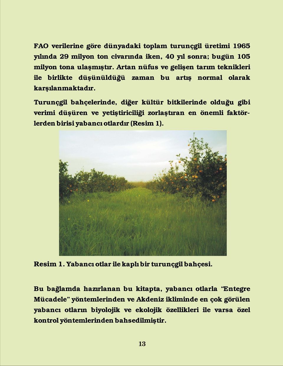 Turunçgil bahçelerinde, diğer kültür bitkilerinde olduğu gibi verimi düşüren ve yetiştiriciliği zorlaştıran en önemli faktörlerden birisi yabancı otlardır (Resim 1). Resim 1.