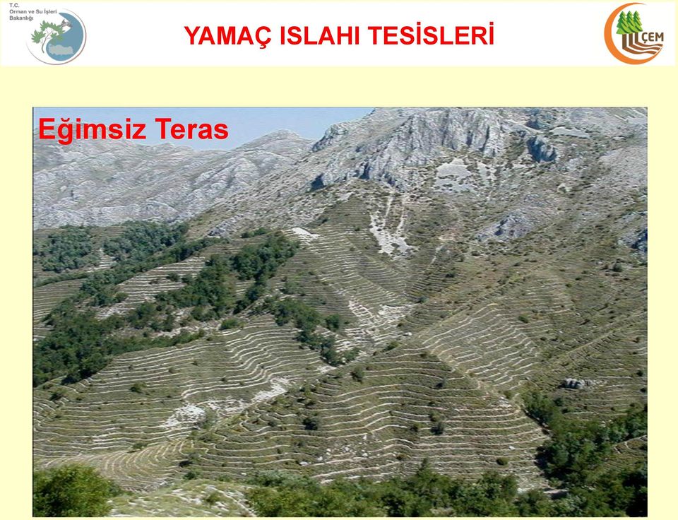 YAMAÇ