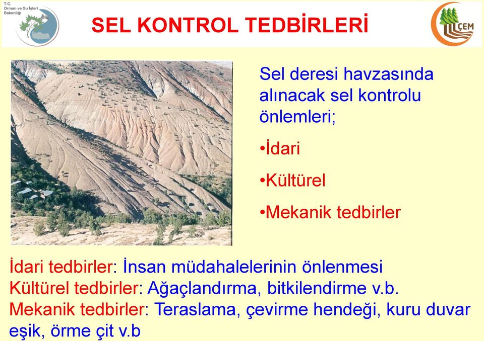 müdahalelerinin önlenmesi Kültürel tedbirler: Ağaçlandırma,