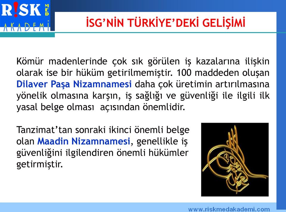 100 maddeden oluşan Dilaver Paşa Nizamnamesi daha çok üretimin artırılmasına yönelik olmasına karşın, iş