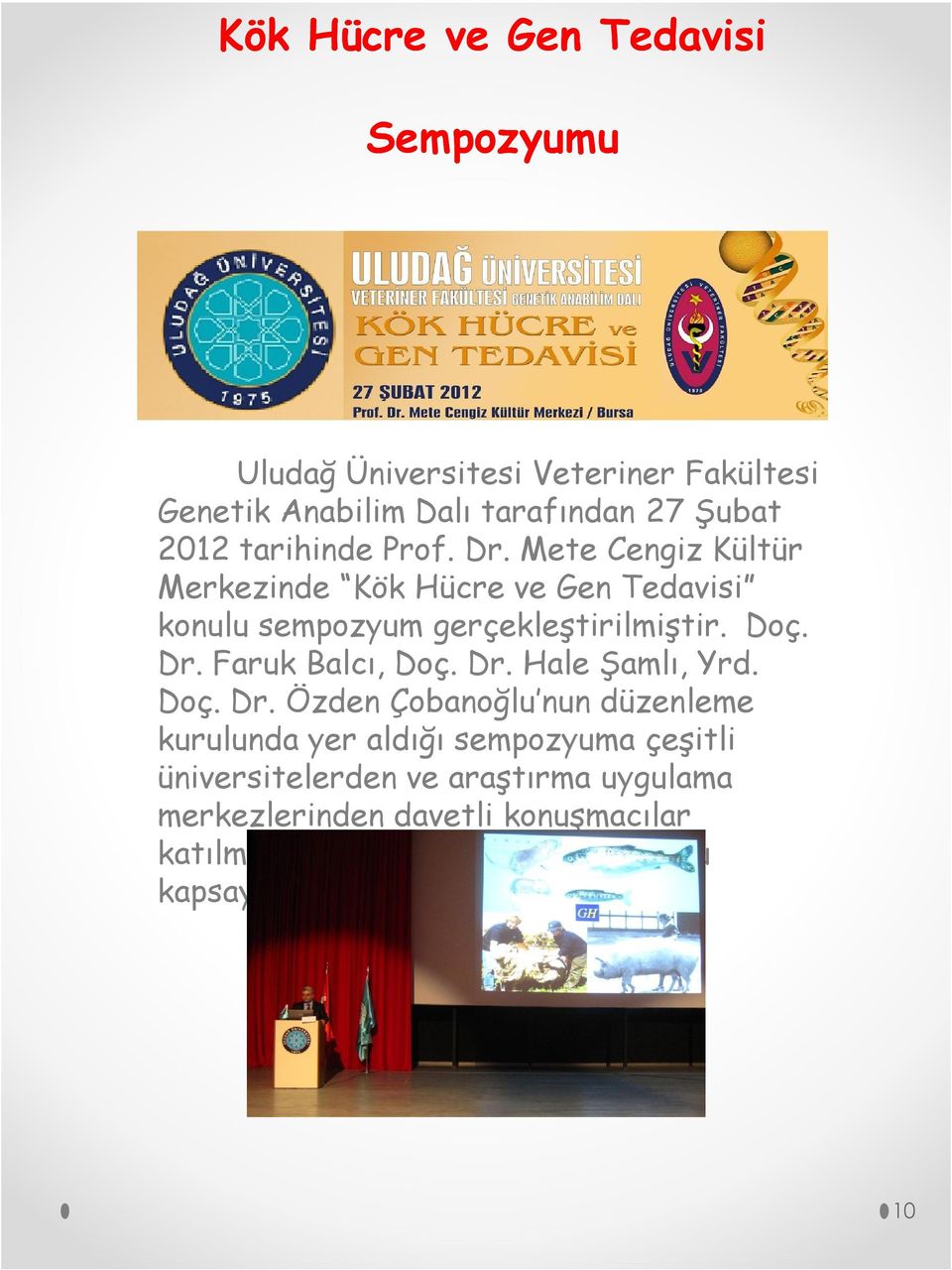 Dr. Hale Şamlı, Yrd. Doç. Dr.