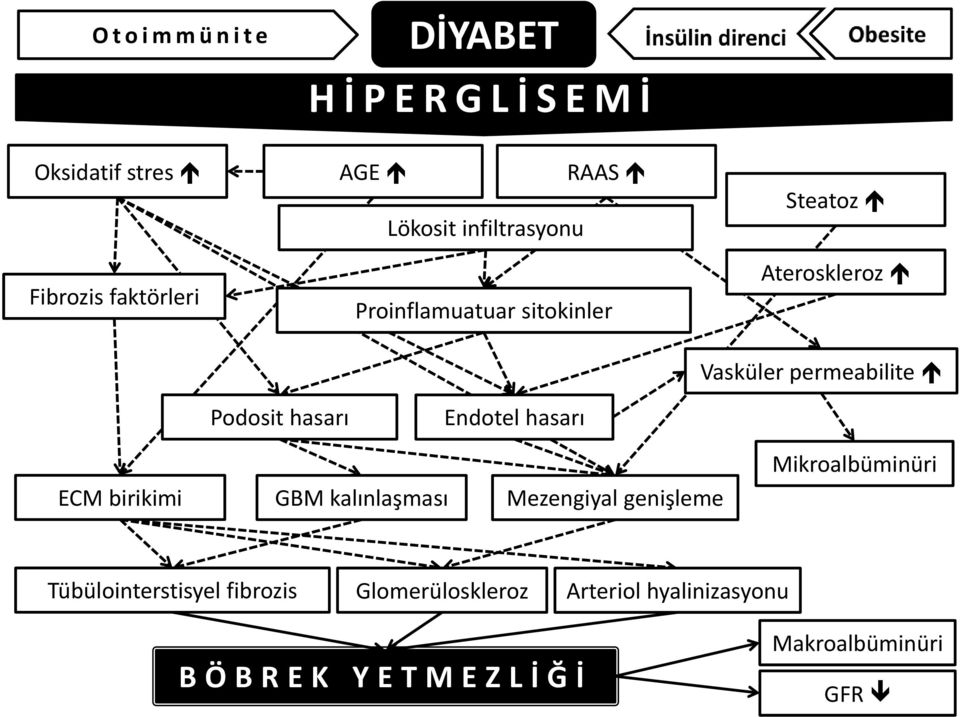 hasarı Endotel hasarı ECM birikimi GBM kalınlaşması Mezengiyal genişleme Mikroalbüminüri