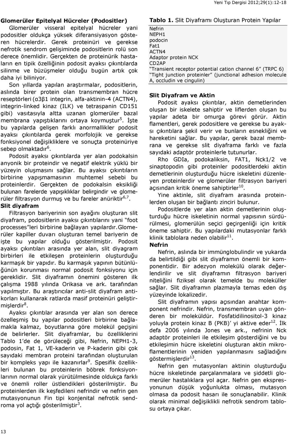 Gerçekten de proteinürik hastaların en tipik özelliğinin podosit ayaksı çıkıntılarda silinme ve büzüşmeler olduğu bugün artık çok daha iyi biliniyor.