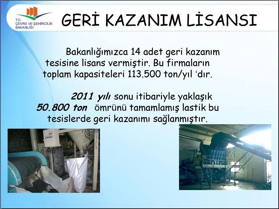 Bu firmaların toplam kapasiteleri 113.500 ton/yıl dır.