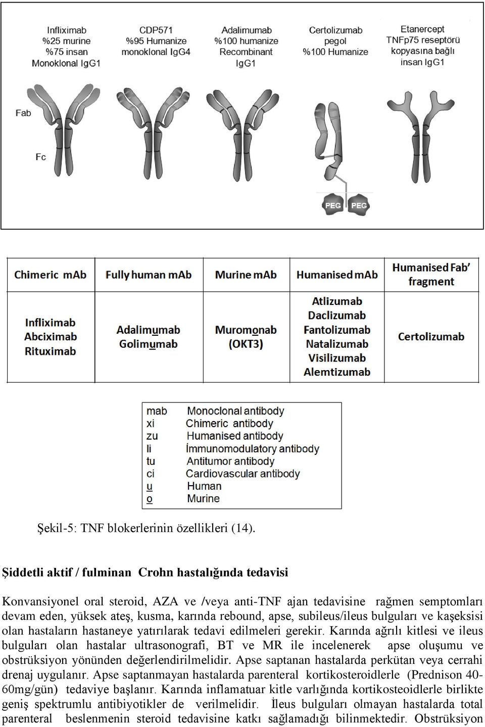 subileus/ileus bulguları ve kaşeksisi olan hastaların hastaneye yatırılarak tedavi edilmeleri gerekir.