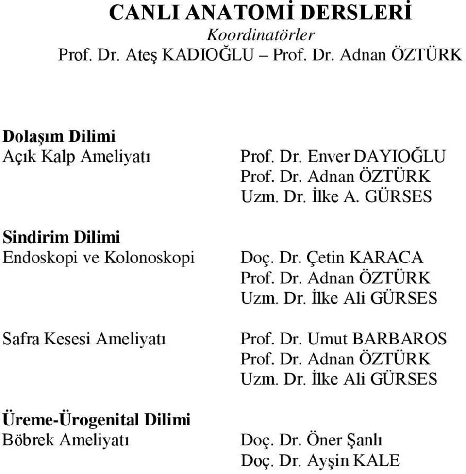 Kesesi Ameliyatı Üreme-Ürogenital Dilimi Böbrek Ameliyatı Prof. Dr. Enver DAYIOĞLU Uzm. Dr. İlke A.