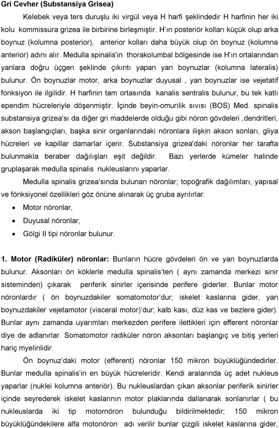 Medulla spinalis'in thorakolumbal bölgesinde ise H'ın ortalarından yanlara doğru üçgen şeklinde çıkıntı yapan yan boynuzlar (kolumna lateralis) bulunur.