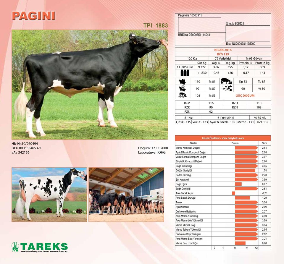 Çiftlik - 135 Vücut - 133 Ayak & Bacak - 105 Meme - 130 RZE 135 Hb-Nr.10/260494 DEU 000535465371 aaa 342156 Doğum: 12.11.2008 Laboratuvar: OHG Linear Özellikler - www.dairybulls.