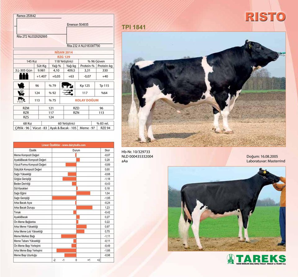 Çiftlik - 96 Vücut - 83 Ayak & Bacak - 105 Meme - 97 RZE 94 Linear Özellikler - www.dairybulls.