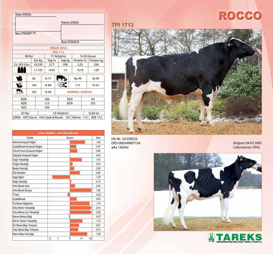 Çiftlik - 109 Vücut - 104 Ayak & Bacak - 101 Meme - 115 RZE 112 Linear Özellikler - www.dairybulls.