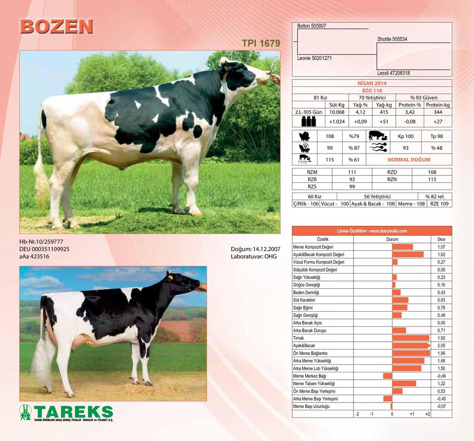 Çiftlik - 106 Vücut - 100 Ayak & Bacak - 108 Meme - 108 RZE 109 Hb-Nr.10/259777 DEU 000351109925 aaa 423516 Doğum: 14.12.2007 Laboratuvar: OHG Linear Özellikler - www.dairybulls.