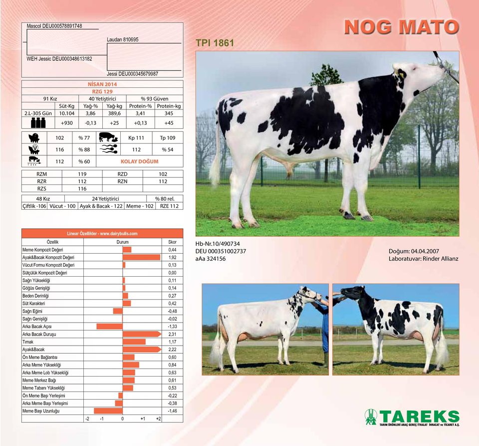 Çiftlik -106 Vücut - 100 Ayak & Bacak - 122 Meme - 102 RZE 112 Linear Özellikler - www.dairybulls.