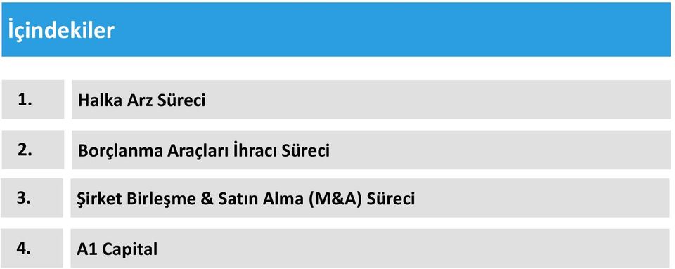 Borçlanma Araçları İhracı