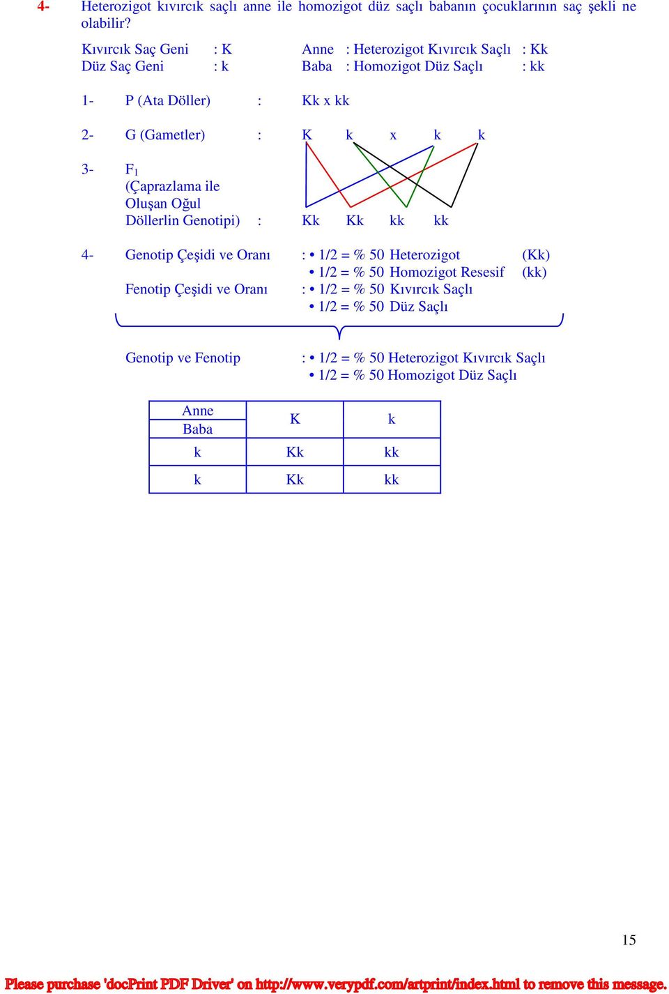 K k x k k 3- F 1 (Çaprazlama ile Oluşan Oğul Döllerlin Genotipi) : Kk Kk kk kk 4- Genotip Çeşidi ve Oranı : 1/2 = % 50 Heterozigot (Kk) 1/2 = % 50