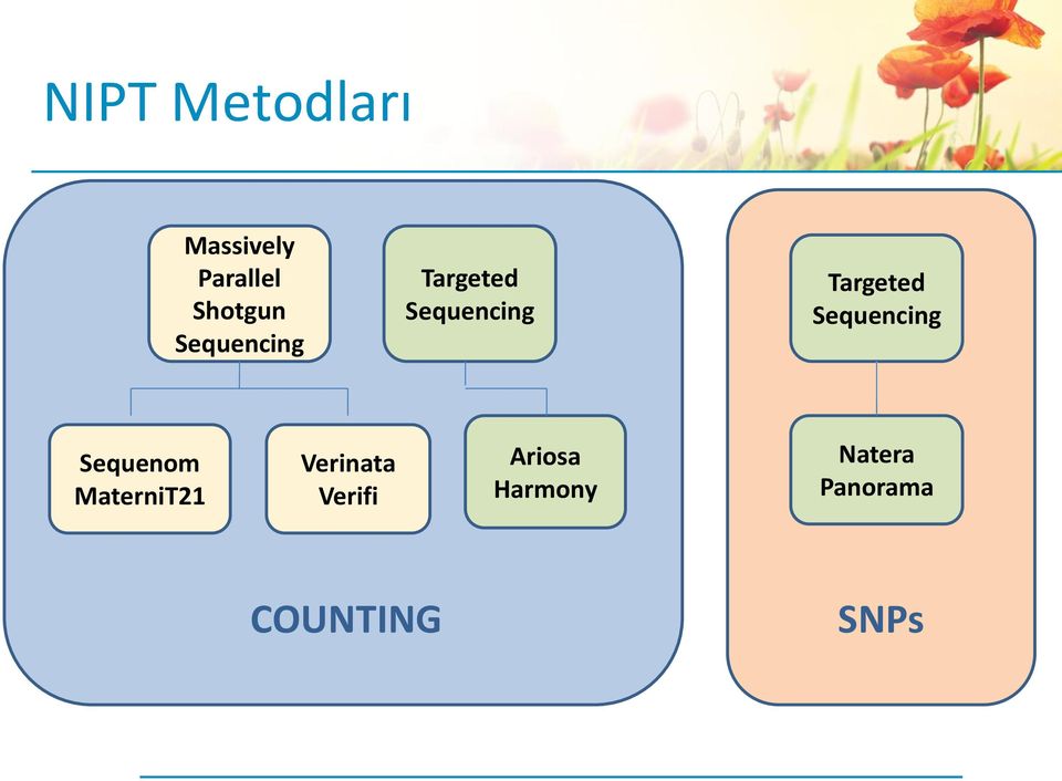 Sequencing Sequenom MaterniT21 Verinata