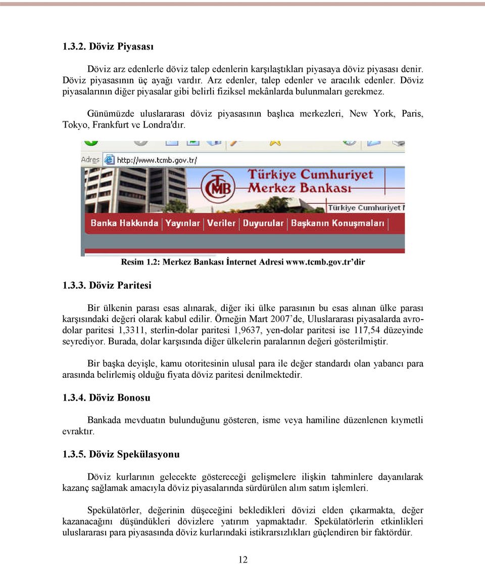 1.3.3. Döviz Paritesi Resim 1.2: Merkez Bankası İnternet Adresi www.tcmb.gov.