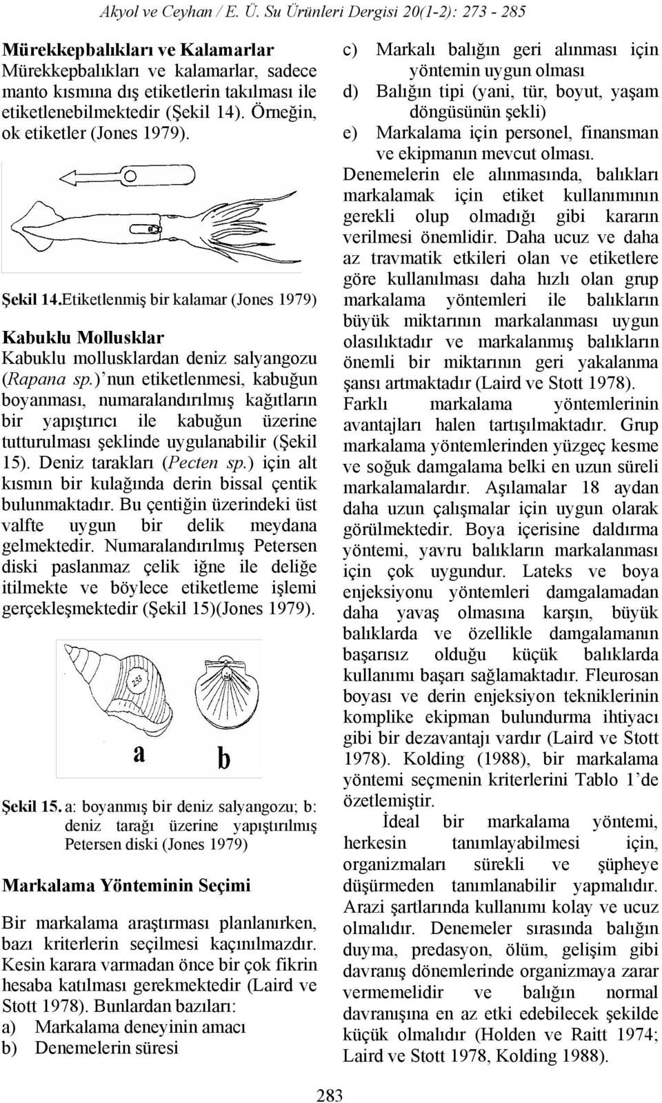 ) nun etiketlenmesi, kabuğun boyanması, numaralandırılmış kağıtların bir yapıştırıcı ile kabuğun üzerine tutturulması şeklinde uygulanabilir (Şekil 15). Deniz tarakları (Pecten sp.