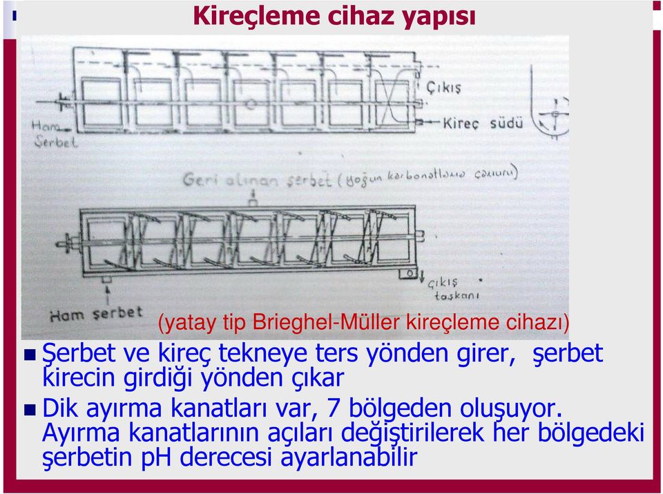 yönden çıkar Dik ayırma kanatları var, 7 bölgeden oluşuyor.