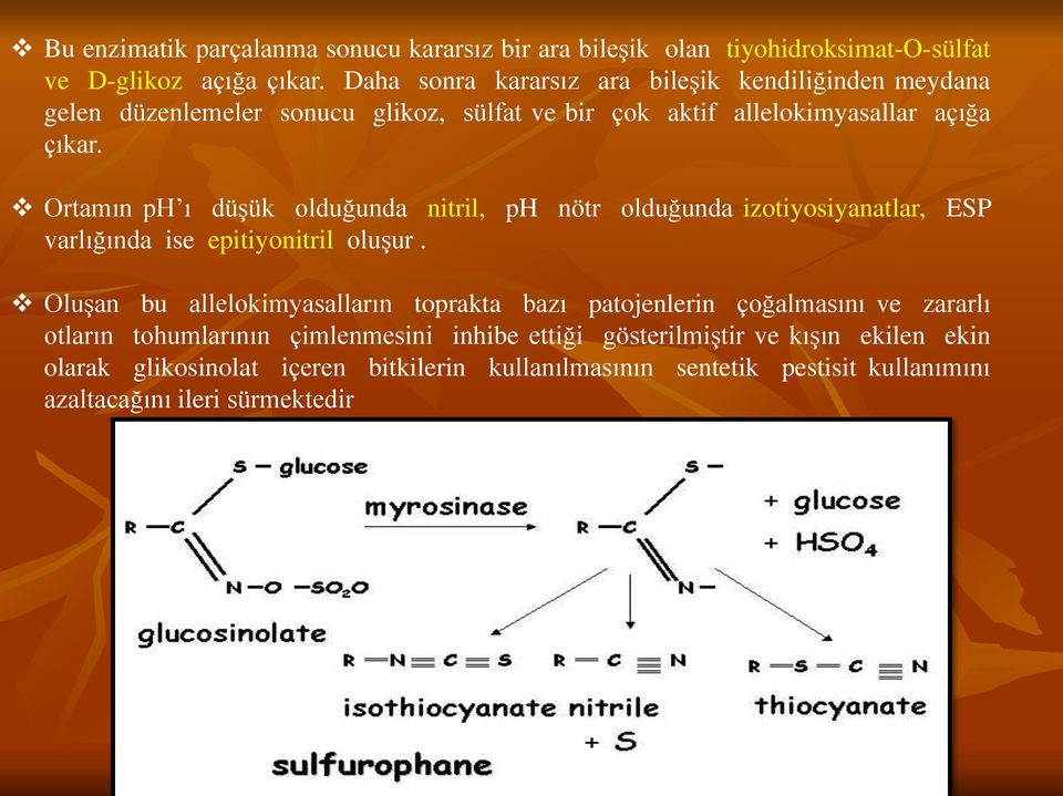 Ortamın ph ı düşük olduğunda nitril, ph nötr olduğunda izotiyosiyanatlar, ESP varlığında ise epitiyonitril oluşur.