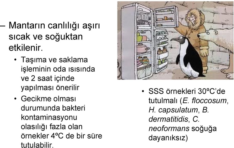 olması durumunda bakteri kontaminasyonu olasılığı fazla olan örnekler 4ºC de bir süre