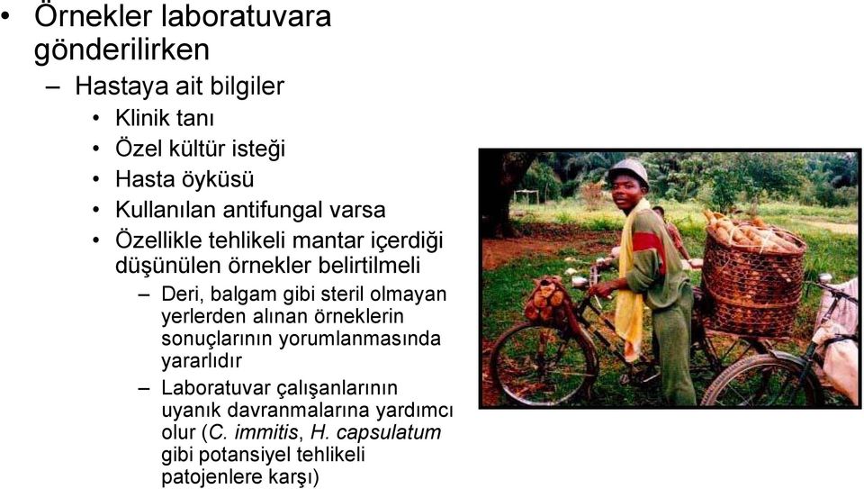 balgam gibi steril olmayan yerlerden alınan örneklerin sonuçlarının yorumlanmasında yararlıdır Laboratuvar