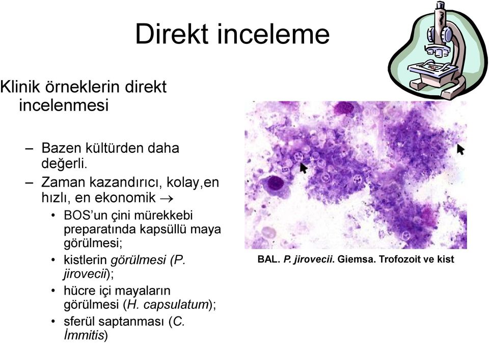 kapsüllü maya görülmesi; kistlerin görülmesi (P.