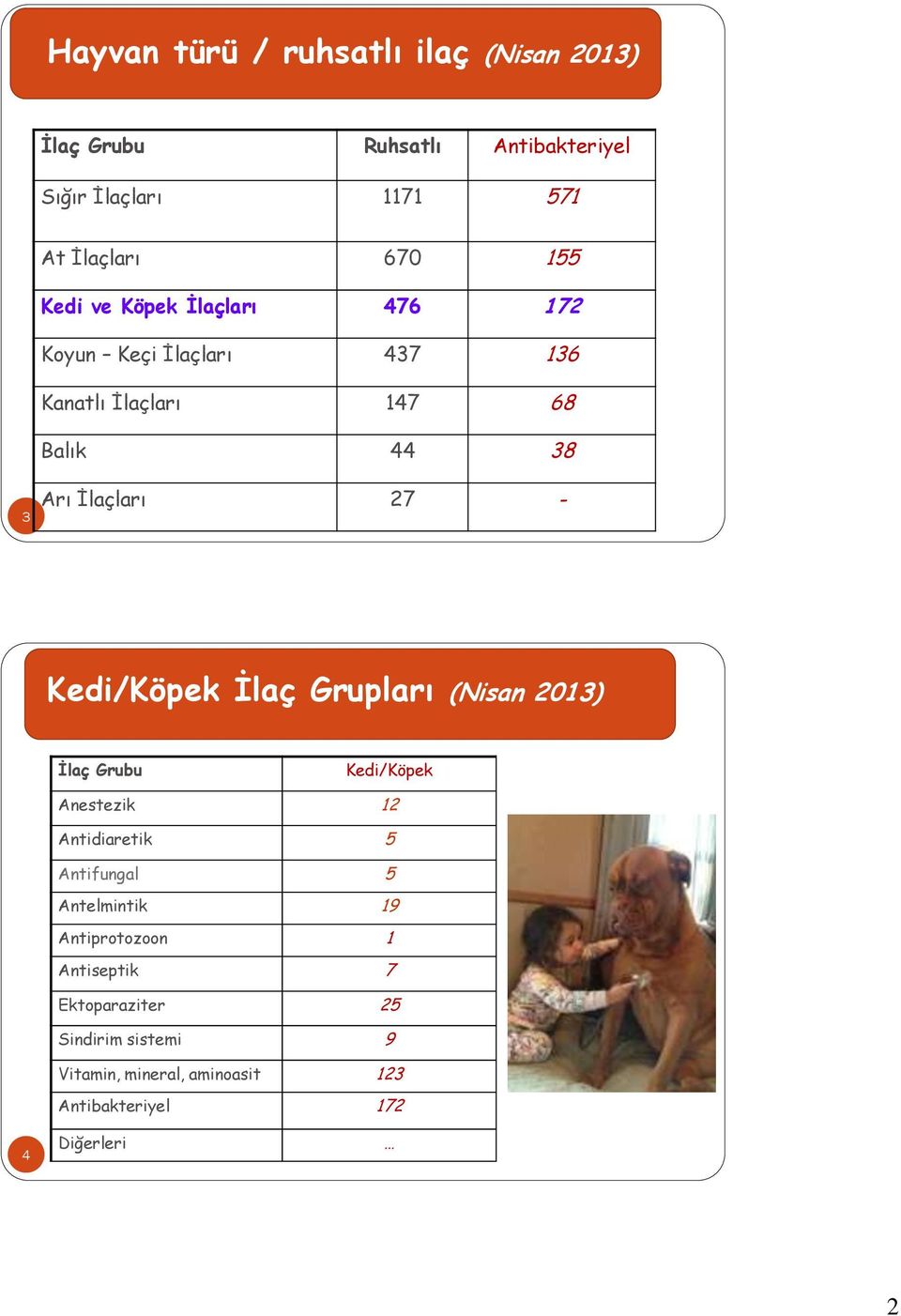 Kedi/Köpek İlaç Grupları (Nisan 2013) İlaç Grubu Kedi/Köpek Anestezik 12 Antidiaretik 5 Antifungal 5 Antelmintik 19