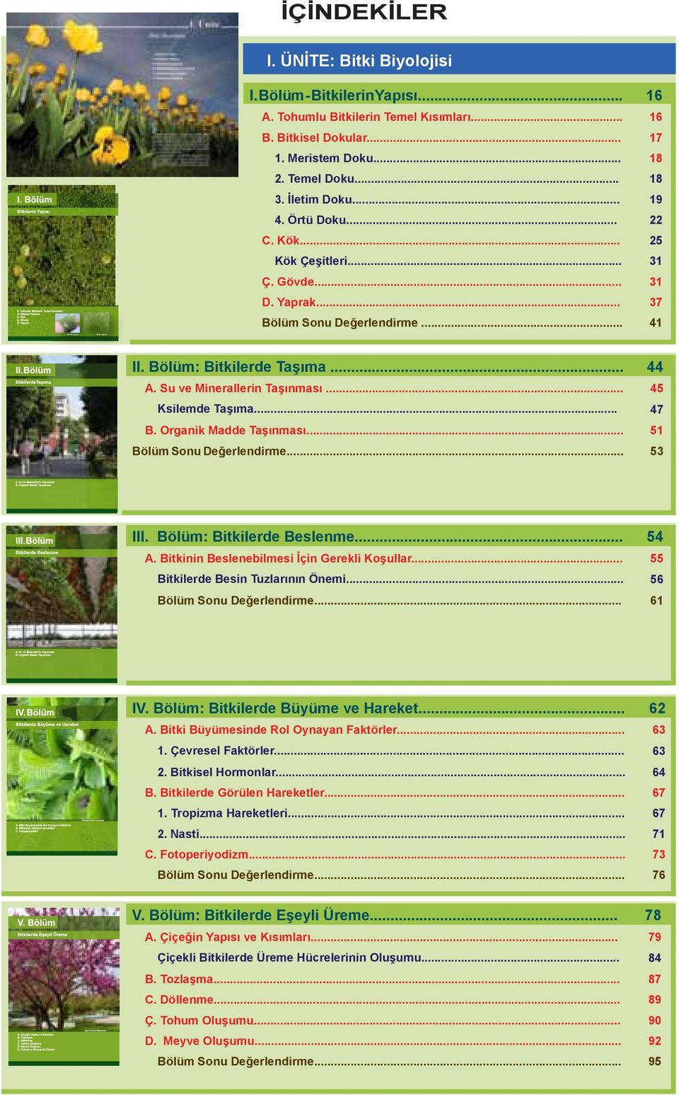 Bölüm: Bitkilerde Taşıma... 44 A. Su ve Minerallerin Taşınması... 45 Ksilemde Taşıma... 47 B. Organik Madde Taşınması... 51 Bölüm Sonu Değerlendirme... 53 III. Bölüm: Bitkilerde Beslenme... 54 A.