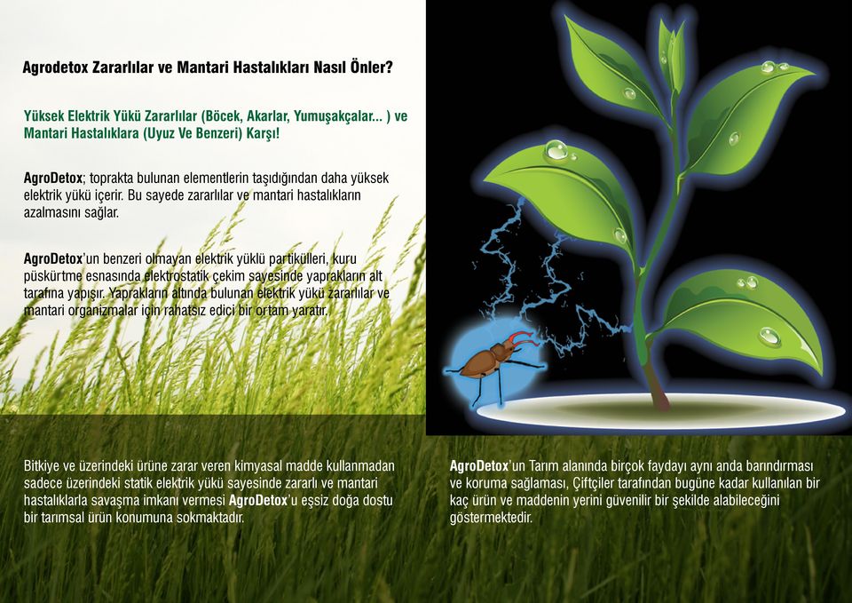 AgroDetox un benzeri olmayan elektrik yüklü partikülleri, kuru püskürtme esnasında elektrostatik çekim sayesinde yaprakların alt tarafına yapışır.