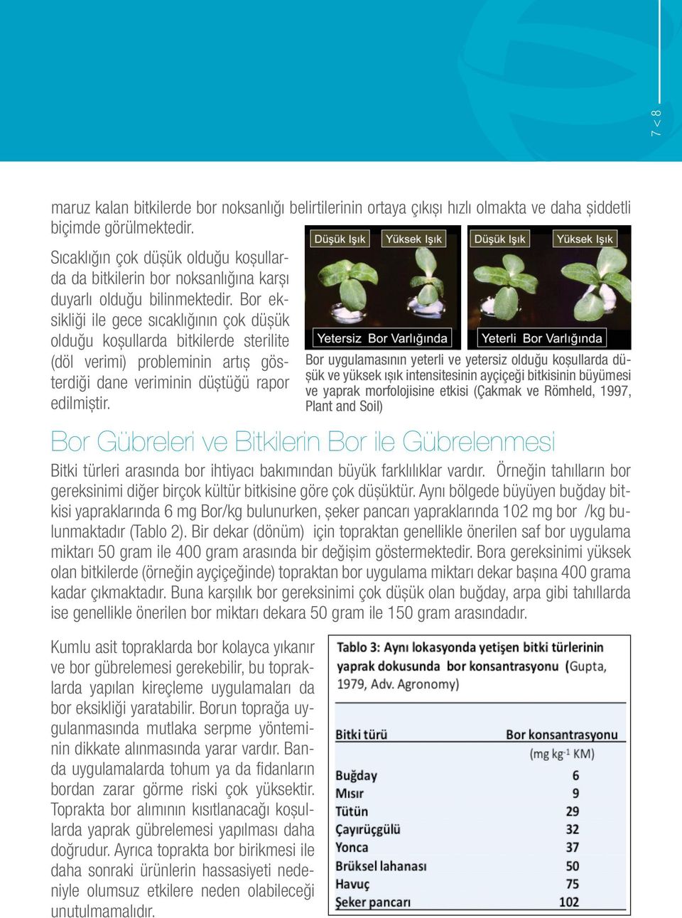 Bor eksikliği ile gece sıcaklığının çok düşük olduğu koşullarda bitkilerde sterilite (döl verimi) probleminin artış gösterdiği dane veriminin düştüğü rapor edilmiştir.