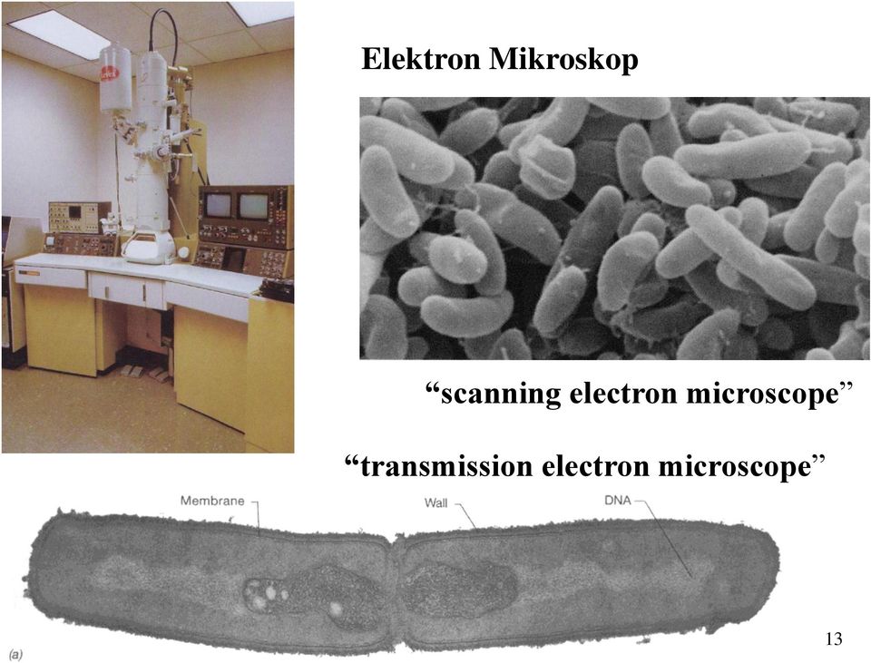 microscope