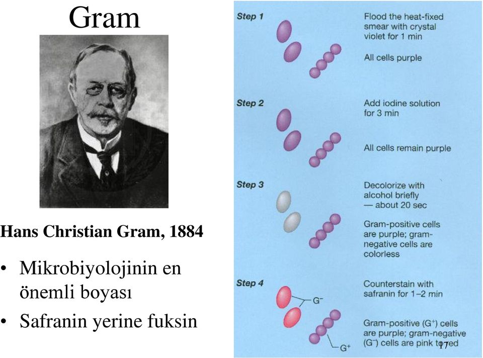 Mikrobiyolojinin en