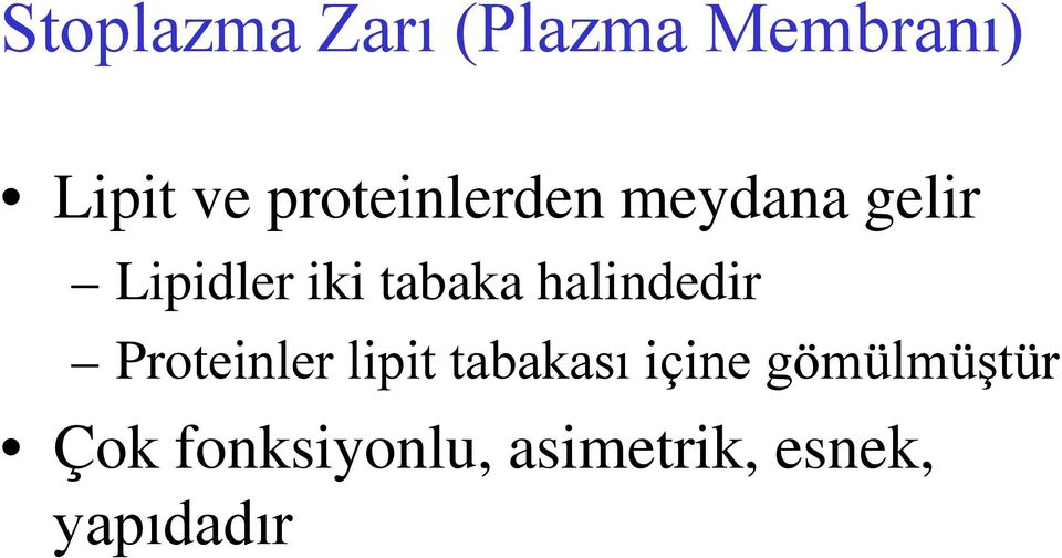 halindedir Proteinler lipit tabakası içine