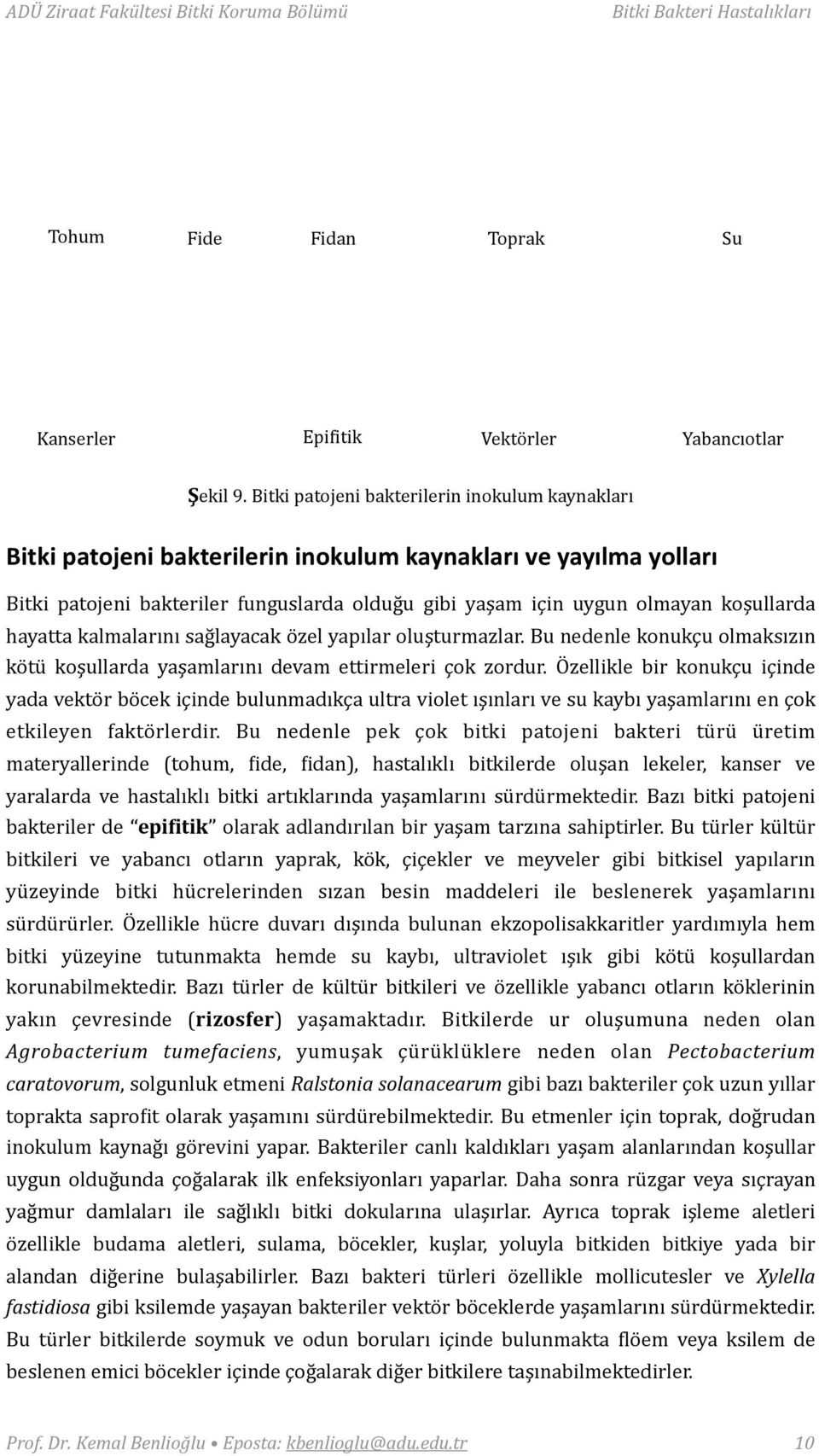 koşullarda hayatta kalmalarını sağlayacak özel yapılar oluşturmazlar. Bu nedenle konukçu olmaksızın kötü koşullarda yaşamlarını devam ettirmeleri çok zordur.