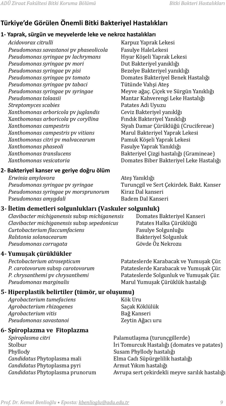 Pseudomonas syringae pv tomato Domates Bakteriyel Benek Hastalığı Pseudomonas syringae pv tabaci Tütünde Vahşi Ateş Pseudomonas syringae pv syringae Meyve ağaç.