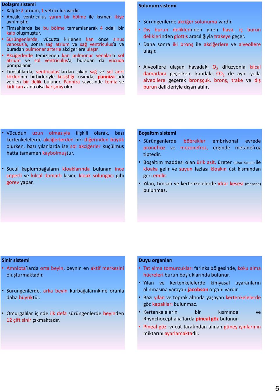 Akciğerlerde temizlenen kan pulmonar venalarla sol atrium ve sol ventriculus a, buradan da vücuda pompalanır.