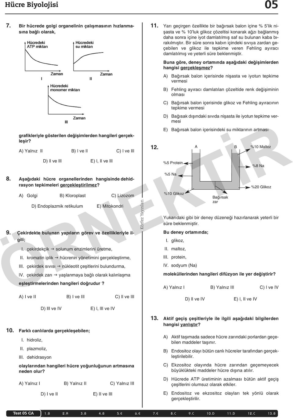 A) Golgi B) Kloroplast C) Lizozom D) Endoplazmik retikulum E) Mitokondri 9. Çekirdekte bulunan yapıların görev ve özellikleriyle ilgili; I. çekirdekçik solunum enzimlerini üretme, II.