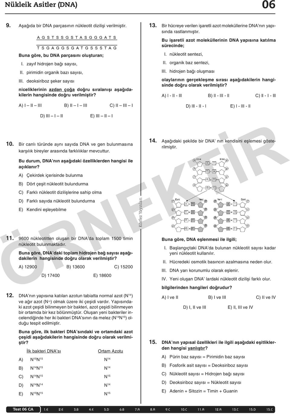 A) I II III B) II I III C) II III I 13. Bir hücreye verilen işaretli azot moleküllerine DNA nın yapısında rastlanmıştır. Bu işaretli azot moleküllerinin DNA yapısına katılma sürecinde; I.