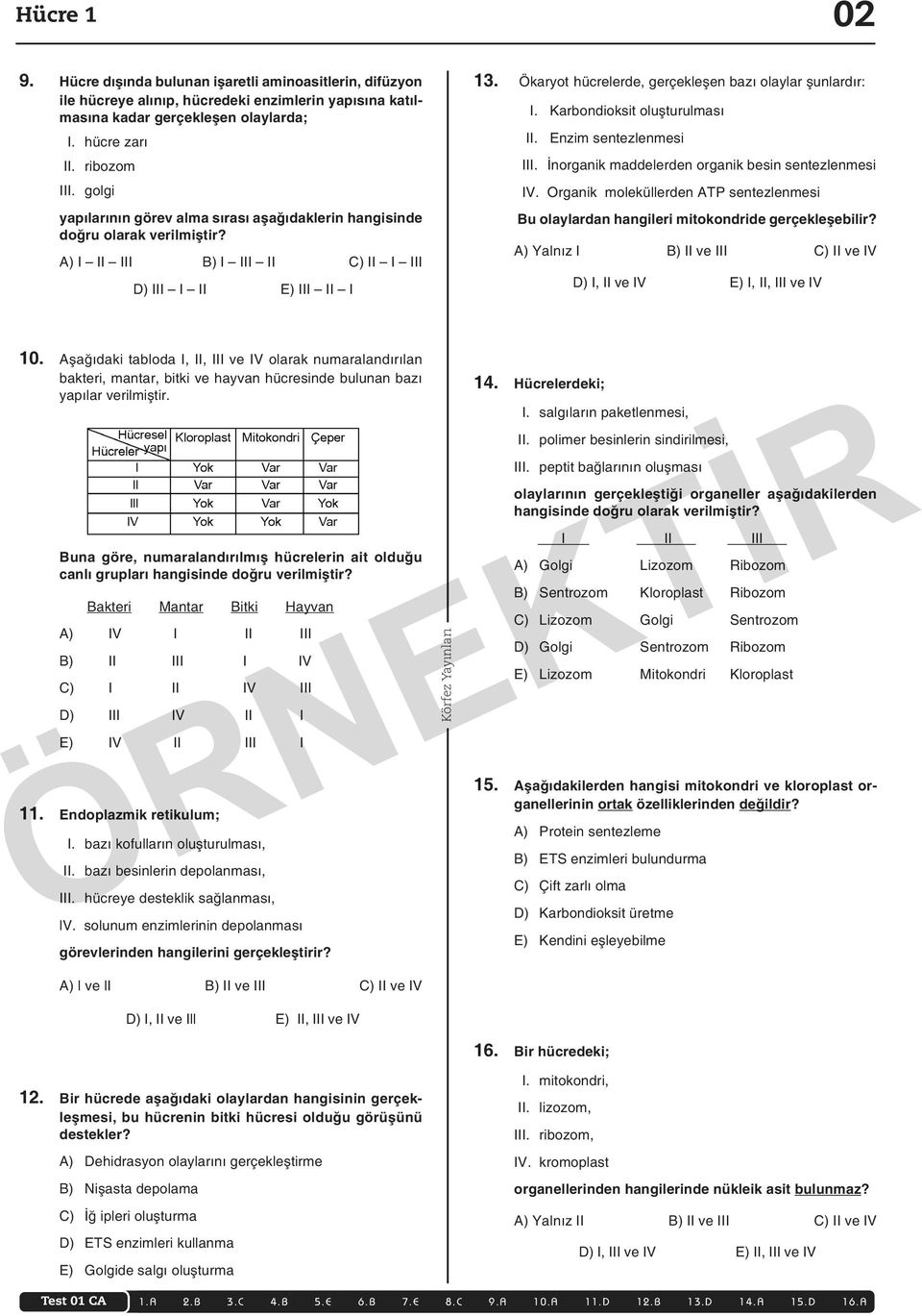 Ökaryot hücrelerde, gerçekleşen bazı olaylar şunlardır: I. Karbondioksit oluşturulması II. Enzim sentezlenmesi III. İnorganik maddelerden organik besin sentezlenmesi IV.