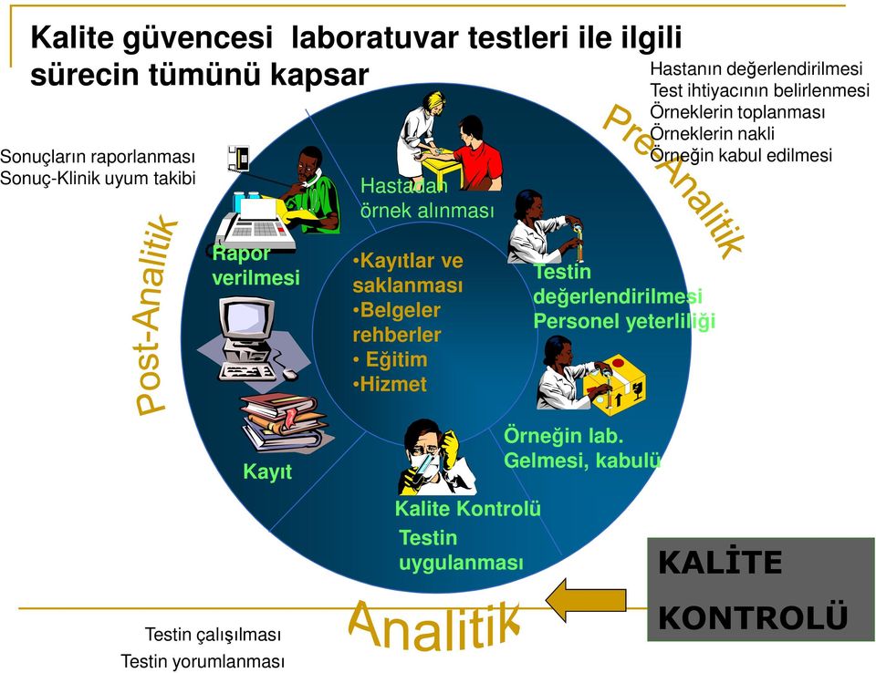 Örneğin kabul edilmesi Rapor verilmesi Kayıtlar ve saklanması Belgeler rehberler Eğitim Hizmet Testin değerlendirilmesi