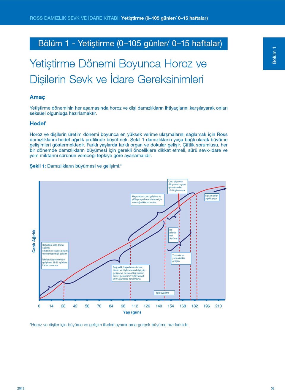 Hedef Horoz ve dişilerin üretim dönemi boyunca en yüksek verime ulaşmalarını sağlamak için Ross damızlıklarını hedef ağırlık profilinde büyütmek.